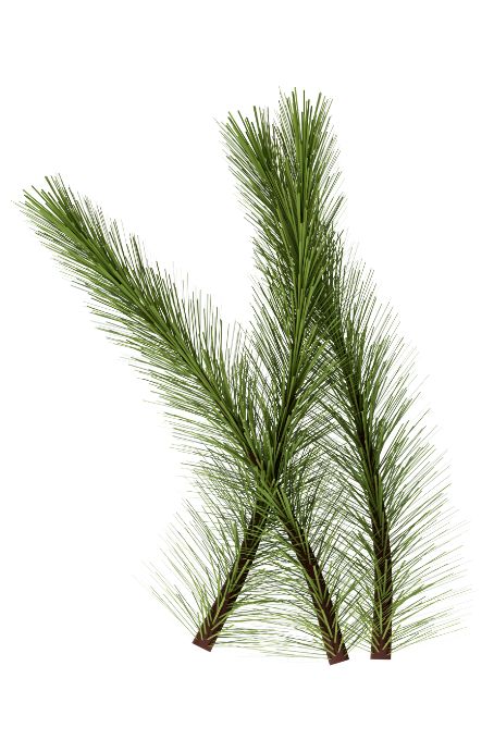 Background removal cut out clipping