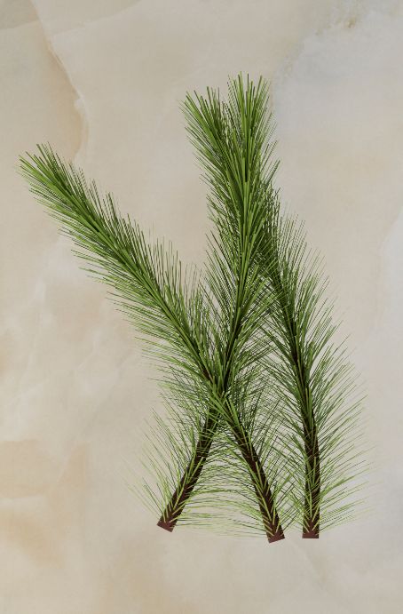 Background removal cut out clipping